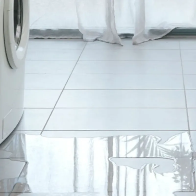 Appliance Leak Cleanup in Canby, OR