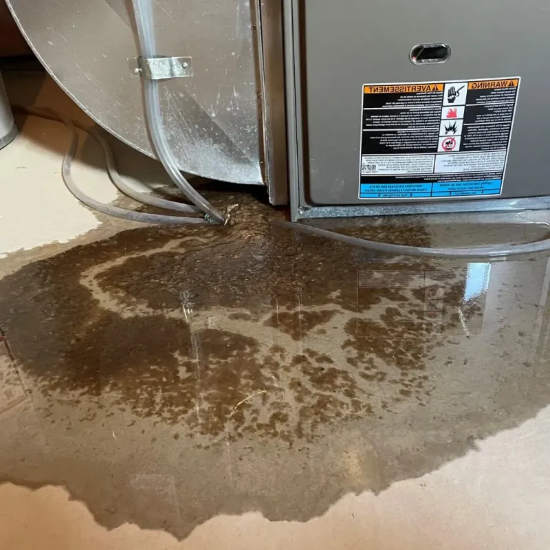 Pipe Burst and Leak Restoration in Canby, OR